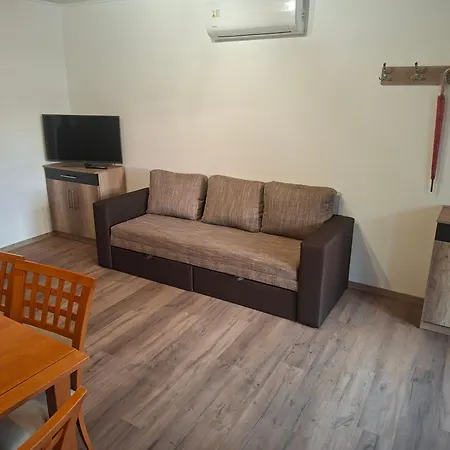 Vadrozsa Apartmanhaz 펜션 *